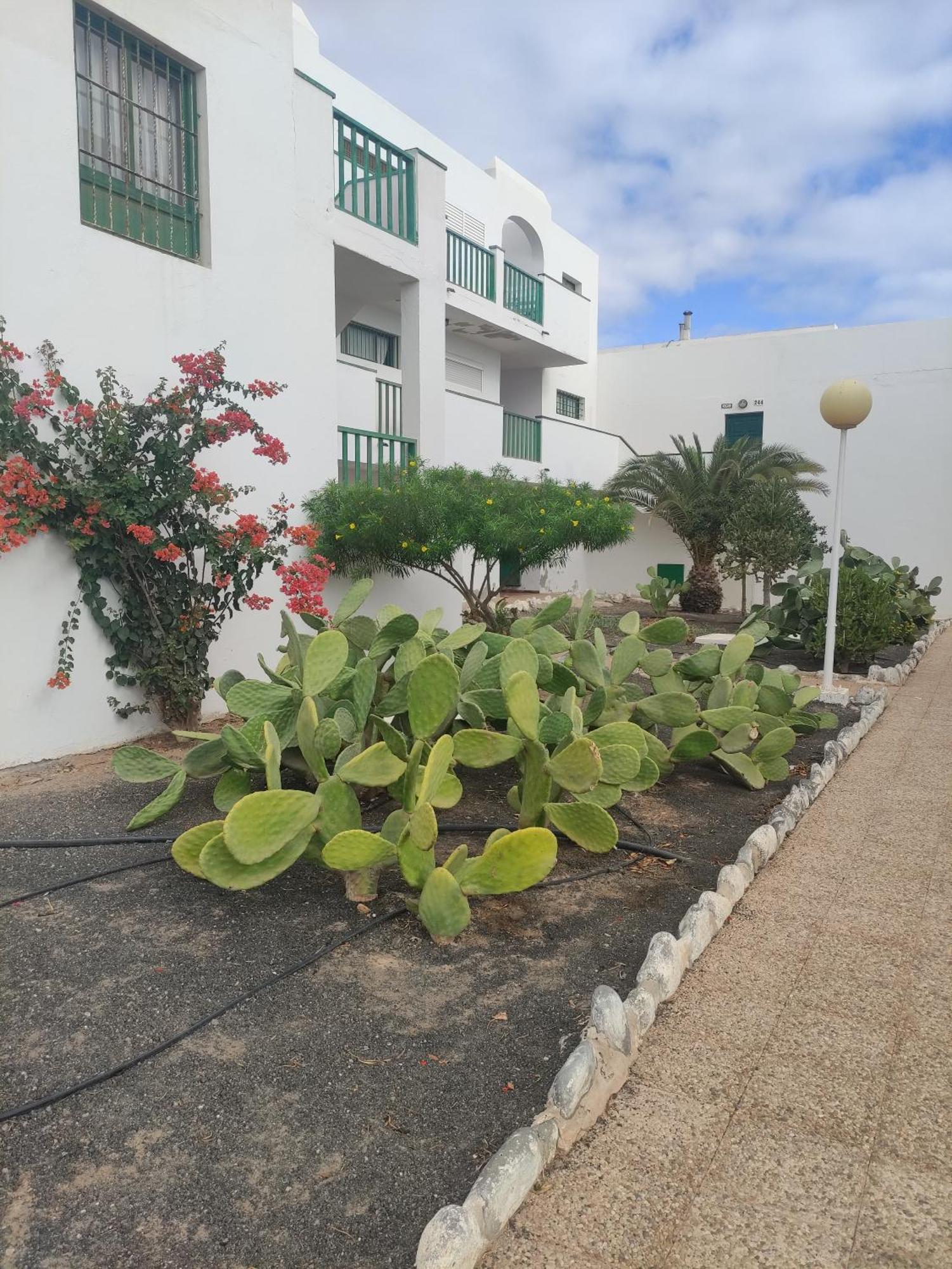 Casita Perla Blanca Appartement Costa De Antigua Buitenkant foto