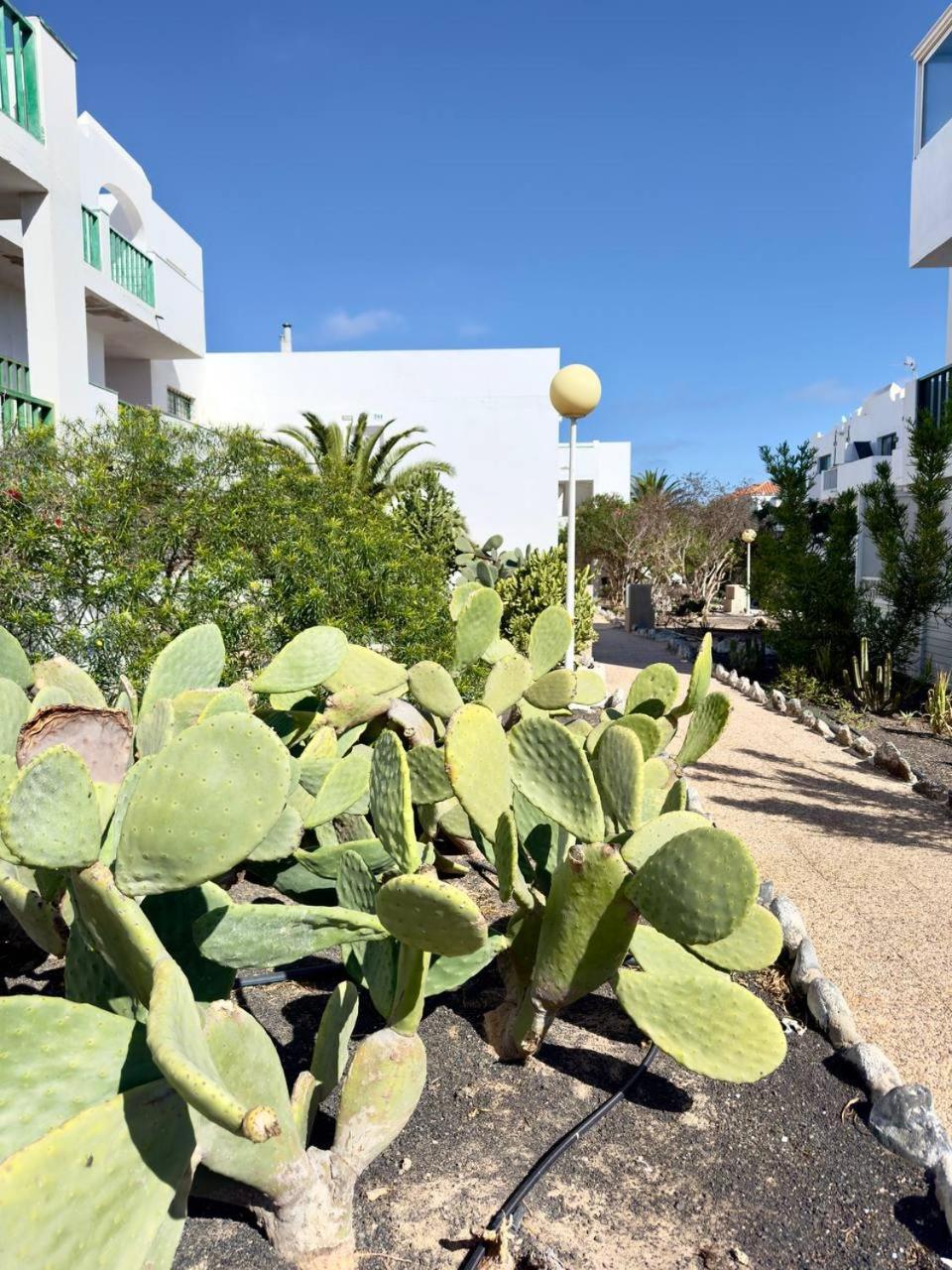 Casita Perla Blanca Appartement Costa De Antigua Buitenkant foto